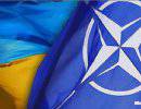 Украина рвется в НАТО