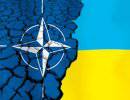 НАТО готова помочь с реформой украинской армии