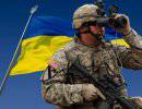 Приедут ли в Донбасс американские наемники?