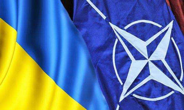 НАТО и Украина – брак по расчету?
