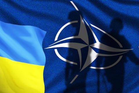 НАТО постепенно берёт под контроль украинское государство