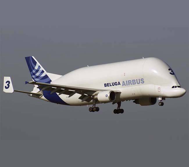 Транспортный самолет «Белуга» один из самых больших самолетов, когда-либо поднимавшихся в небо