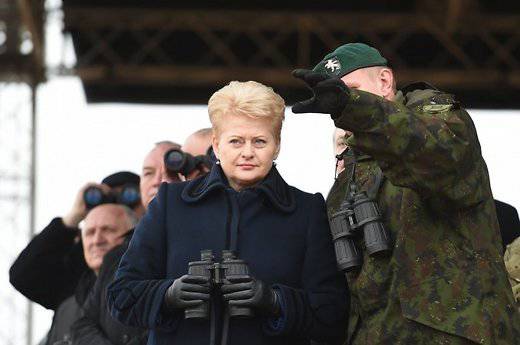 Новые радары в Литве усилят защиту границ страны и НАТО