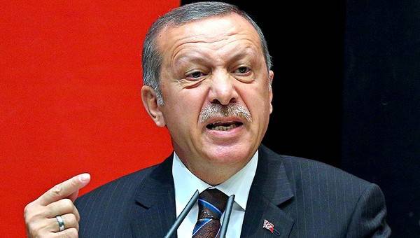 Эрдоган непредсказуем и может пойти на военную операцию в Сирии