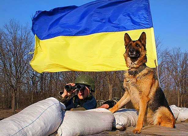 День украинского пограничника — завтра. Будет ли что праздновать?