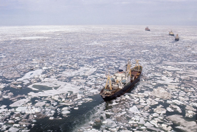 Самый мощный ледокол: Запад восхитился российской «Арктикой»