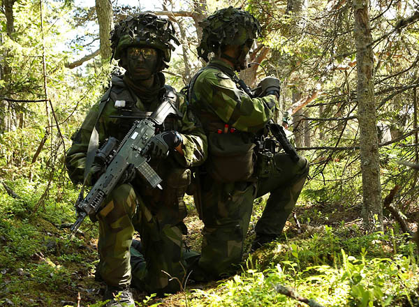 Швеция стремится к более тесному военному сотрудничеству с США