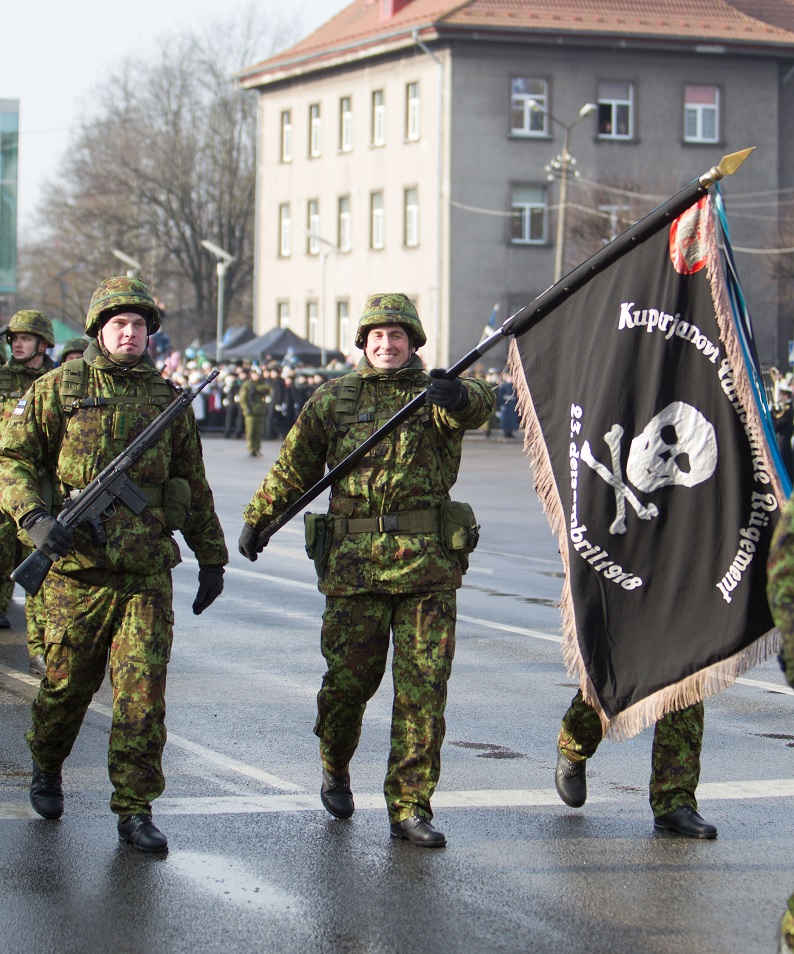 Эстонцы собирают пехотную бригаду за 90 млн евро для борьбы с Россией