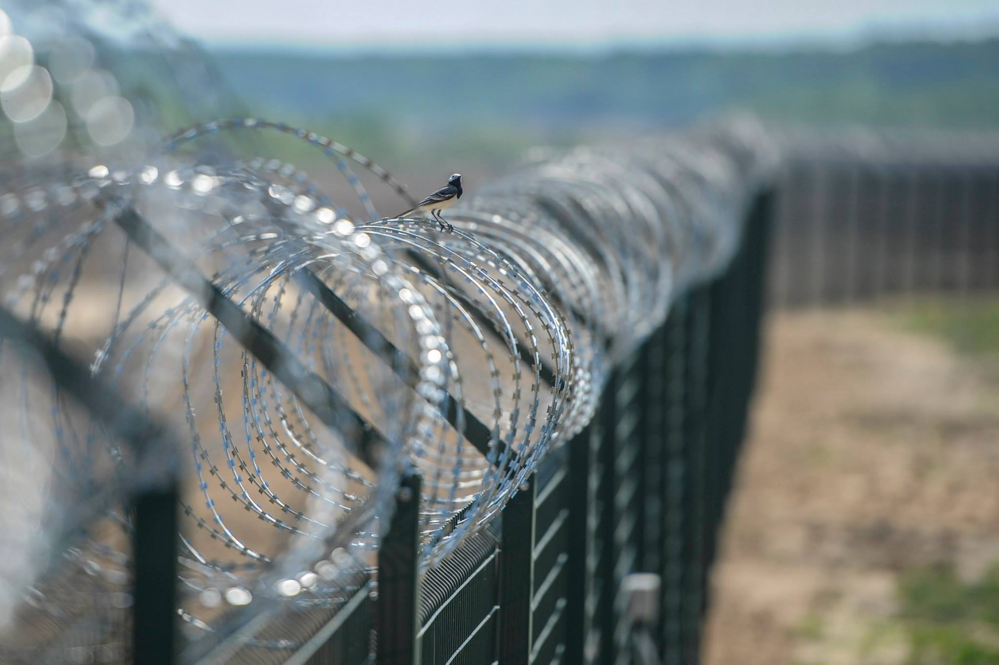 Литовский забор — не с той стороны