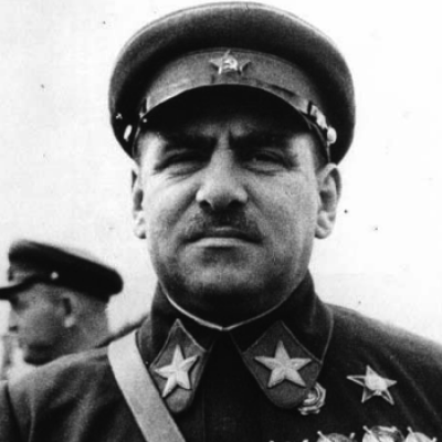Как Сталин использовал маршала Блюхера в начале Большого террора