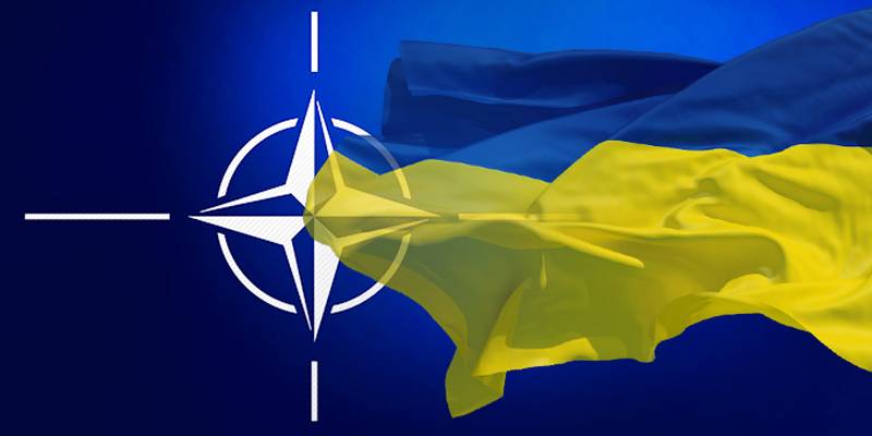 Киев опять передумал и захотел в НАТО
