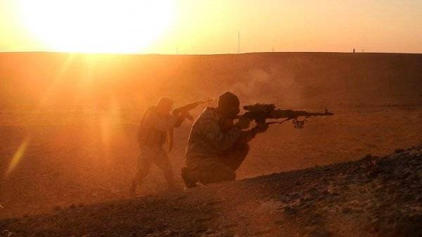 Группа боевиков ИГ была ликвидирована в зоне деэскалации в Сирии