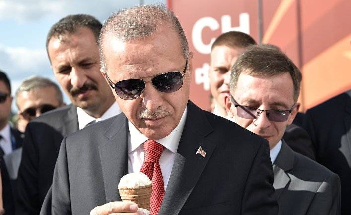 Эрдоган о реакции РФ на военную операцию Турции в Кобани: проблем не будет