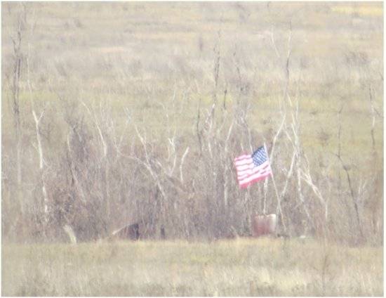 Силовики Зеленского вывесили флаги США на своих позициях в зоне ООС