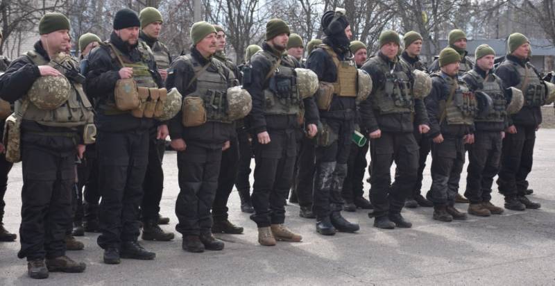 Стандарты НАТО для Украины: путь в альянс для Киева может оказаться непреодолимым