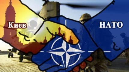 Пойдет ли ВСУ в наступление на ДНР после саммита НАТО в Варшаве Пойдет ли ВСУ в наступление на ДНР после саммита НАТО в Варшаве