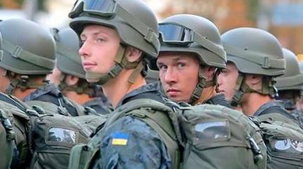 Укроп Дебальцева котла Укроп Дебальцева котла