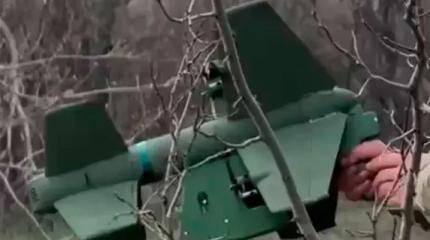 Уничтожение украинских БПЛА дронами-перехватчиками "Елка" сняли на видео