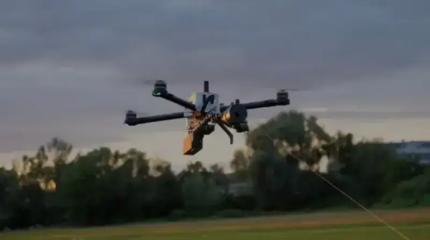 «Считаем все вражескими»: боевики ВСУ взялись за ножницы против дронов