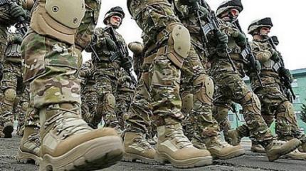 Американские военные в Литве - грубое нарушение Конституции страны Американские военные в Литве - грубое нарушение Конституции страны