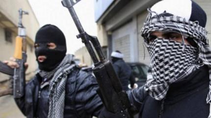 ИГИЛ: спонсоры и покровители террористического квазигосударства ИГИЛ: спонсоры и покровители террористического квазигосударства