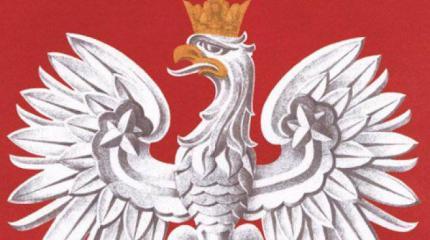 Польских партизан не было Польских партизан не было
