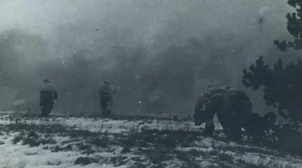 Великая Отечественная война: как проходила Рогачёвско-Жлобинская операция