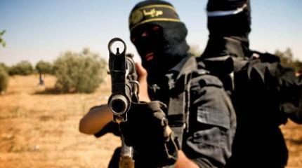 Необходимые бомбардировки идеологии, или Беспощадный зверь фанатизма Необходимые бомбардировки идеологии, или Беспощадный зверь фанатизма