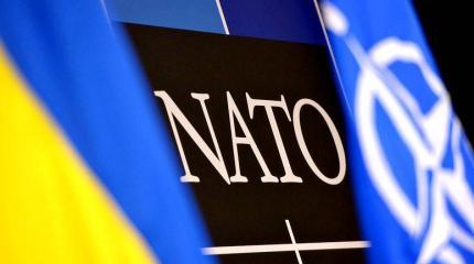НАТО предупреждает Украину НАТО предупреждает Украину