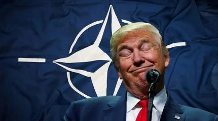 «Год назад страна была мертва»: Трамп раскрыл, как превратил НАТО в пешек