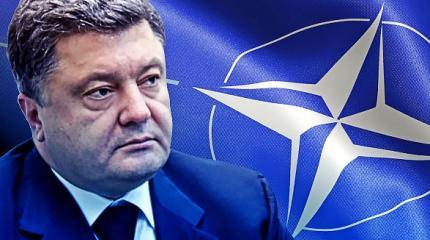 Порошенко обещает танки НАТО у границ России Порошенко обещает танки НАТО у границ России