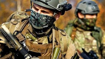 Наномаскировка: российские ученые разработали камуфляж-хамелеон Наномаскировка: российские ученые разработали камуфляж-хамелеон