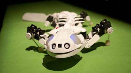 Pleurobot - робот-саламандра Pleurobot - робот-саламандра