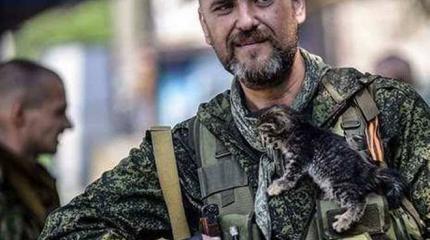 Сводка от Информбюро Армии Юго-Востока за ночь 25 августа Сводка от Информбюро Армии Юго-Востока за ночь 25 августа