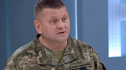 Военкор возмутился чрезмерным обсуждением самочувствия Залужного в России