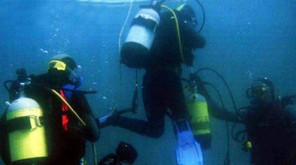 Подводный рукопашный бой Подводный рукопашный бой