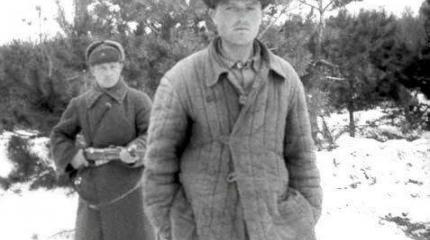 Как Советские военные легко вычисляли немецких шпионов под Ленинградом Как Советские военные легко вычисляли немецких шпионов под Ленинградом