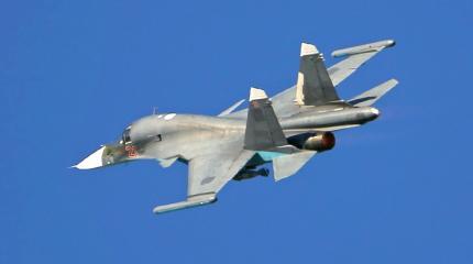 Достанут ли американские ПЗРК наши самолеты в Сирии? Достанут ли американские ПЗРК наши самолеты в Сирии?
