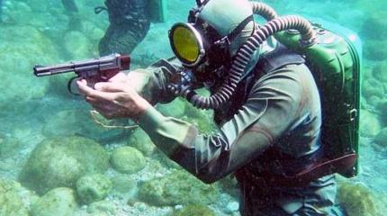 Боевые пловцы СССР – случай в Портсмуте Боевые пловцы СССР – случай в Портсмуте