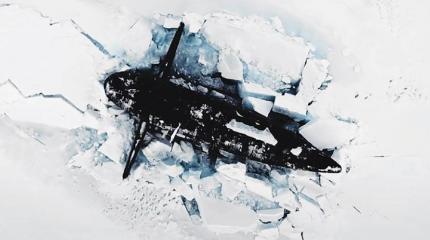 «Арктический фитнес» вместо реальной боевой подготовки «Арктический фитнес» вместо реальной боевой подготовки