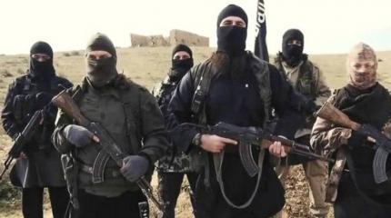 ISIS казнил 8 голландских боевиков, 60 арестованы ISIS казнил 8 голландских боевиков, 60 арестованы