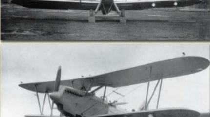 Самолеты Дмитрия Григоровича Самолеты Дмитрия Григоровича