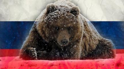 Россия на войну не явилась Россия на войну не явилась
