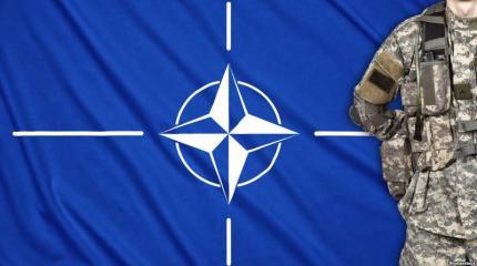 НАТО хочет развернуть больше своих войск на Востоке НАТО хочет развернуть больше своих войск на Востоке