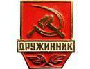 Путин подписал пакет законов о полномочиях народных дружинников