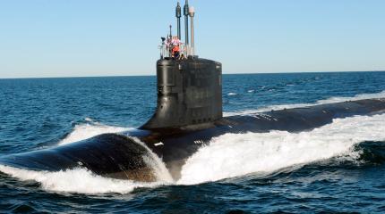 США: Подводная гиена со стёртыми клыками США: Подводная гиена со стёртыми клыками