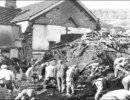 Душераздирающая трагедия Аберфана Душераздирающая трагедия Аберфана
