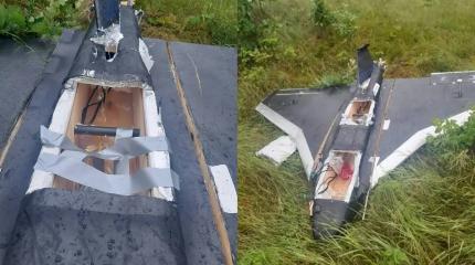 "Русские идут!" – Литву поверг в ужас фанерный самолётик