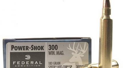 Патрон 7.62х67 / .300 Winchester Magnum Патрон 7.62х67 / .300 Winchester Magnum