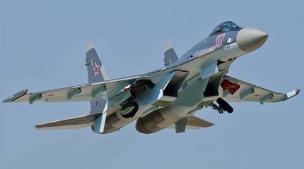 Индонезия сможет получить российские Су-35 не раньше 2018 года Индонезия сможет получить российские Су-35 не раньше 2018 года